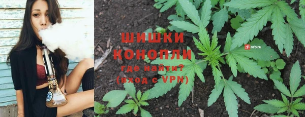 PSILOCYBIN Бородино